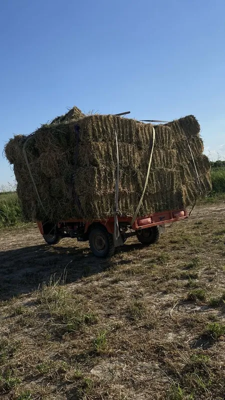 Беда ва сомон пресслари бор 1 Беда ва сомон пресслари бор 1