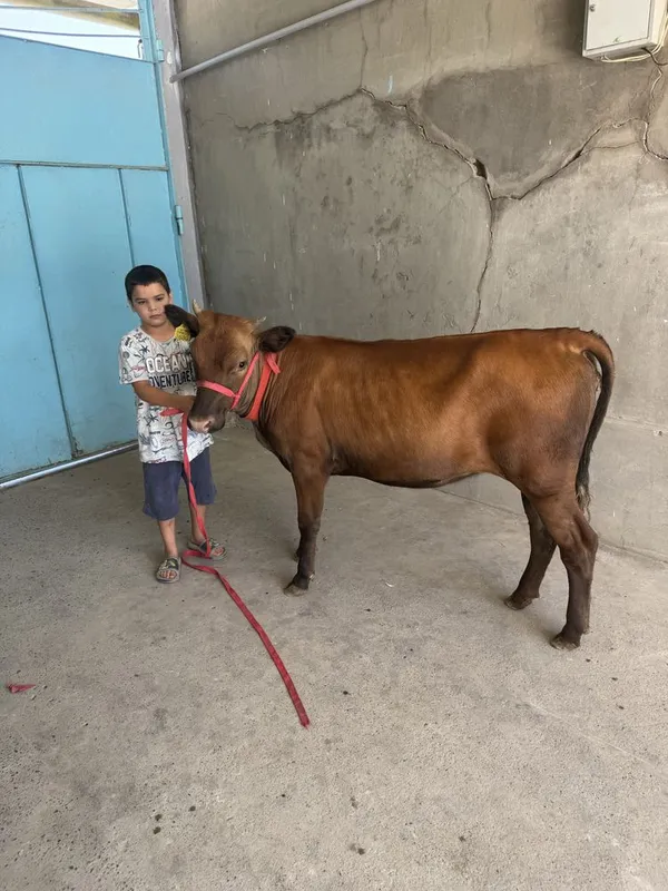 G’unanim sotaldi paro’da 1 G’unanim sotaldi paro’da 1