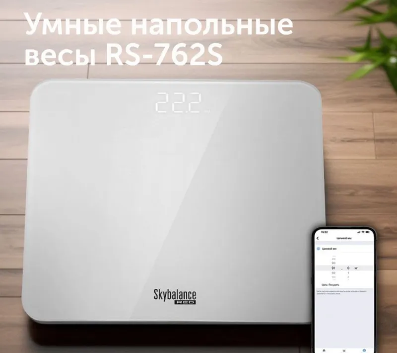 Весы Redmond RS 762 4