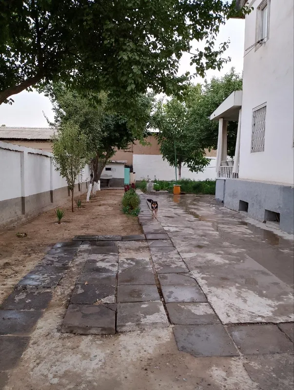 Uchastka sotiladi srochna narx kelishilinadi! — фото 3