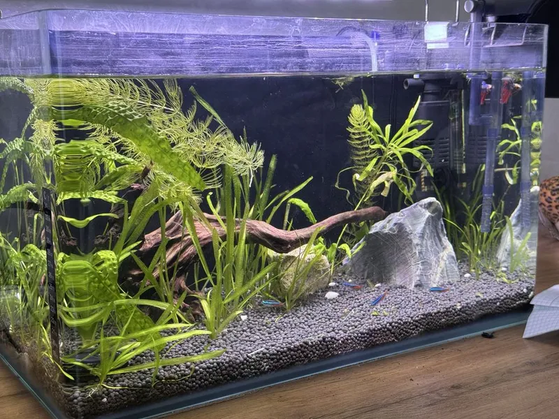 Срочно продается аквариум +_ 40L 1