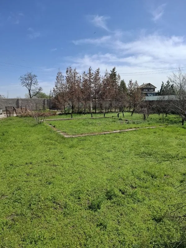 Земля 10 соток Нурафшан, Тойтепа, Ташморе,