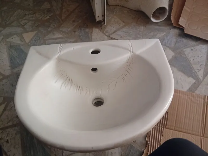 Rakovinalar boshi arzon narxda 1
