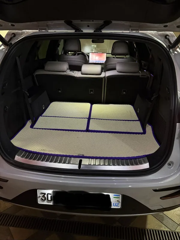 BYD Tang 730km 2024 7