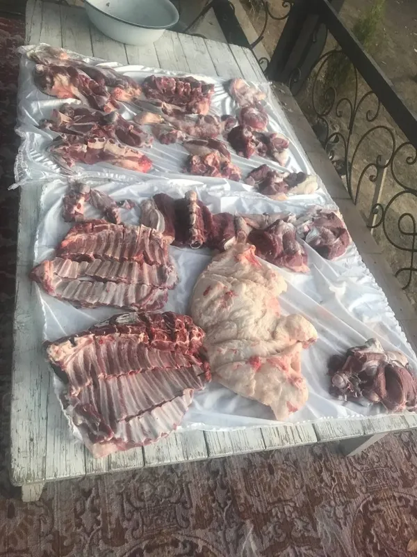 Qassob servis aqiqa va marosimlar uchun qochqorlar