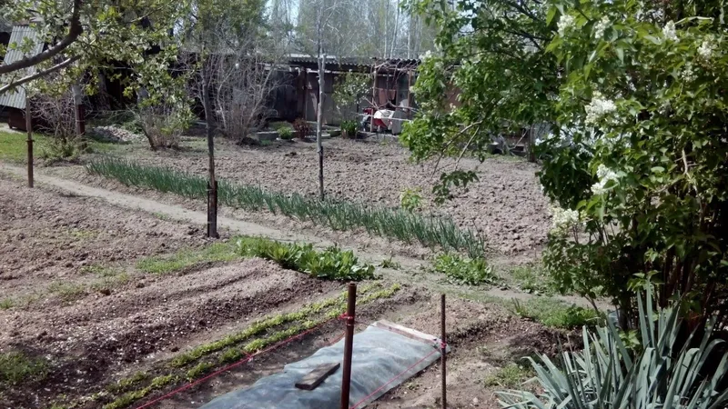 ЖИЛОЙ ДОМ В АХАНГАРАНЕ (4 комнаты) на участке 7 соток с хозпостройками — фото 1
