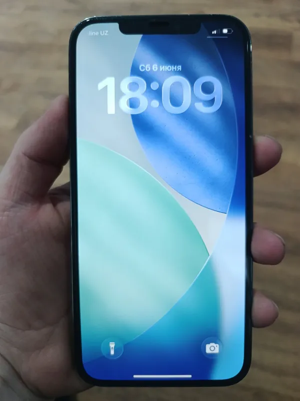 iPhone 12 Pro Max