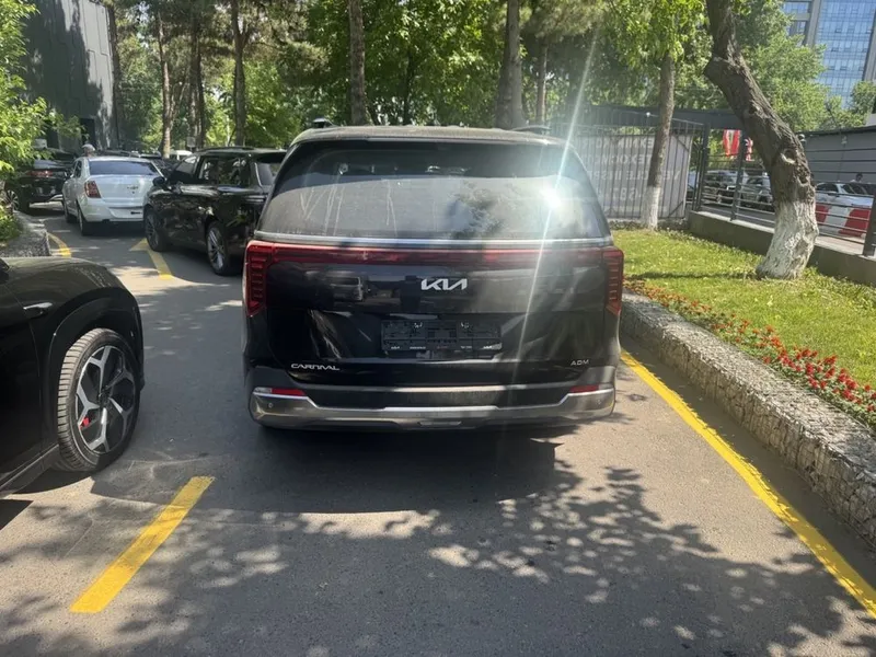 Kia Carnival ADM 3 Kia Carnival ADM 3