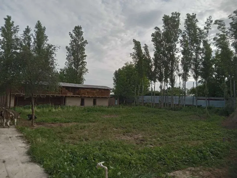Продам участок 14 соток 9 комната в Юкори Чирчик р-не, Ободон махалла — фото 4