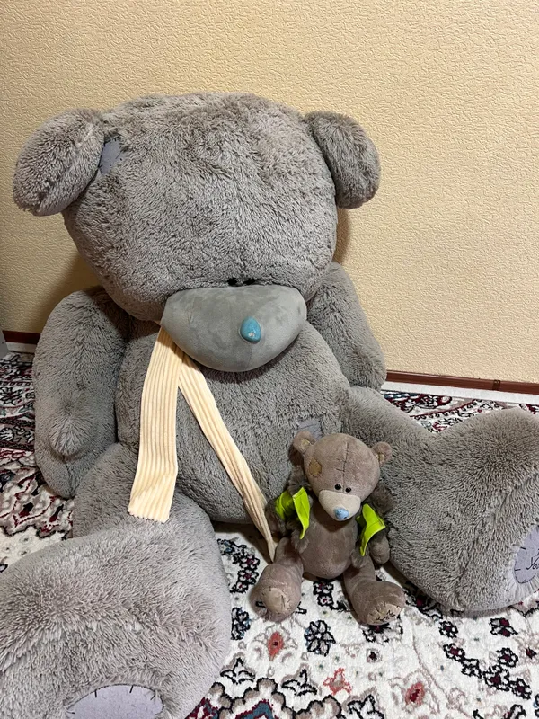 Teddy ayiqcha 2 Teddy ayiqcha 2