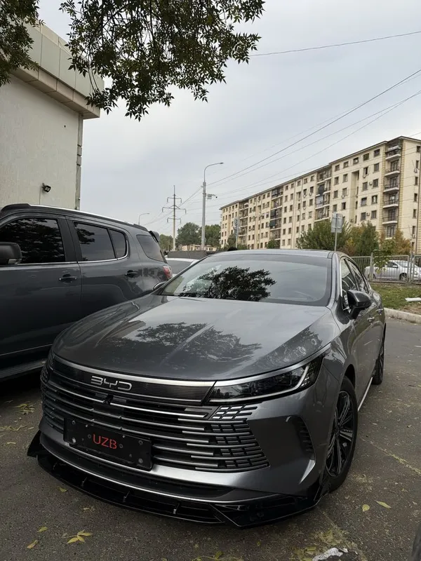 Byd chazor bodykit 4 Byd chazor bodykit 4