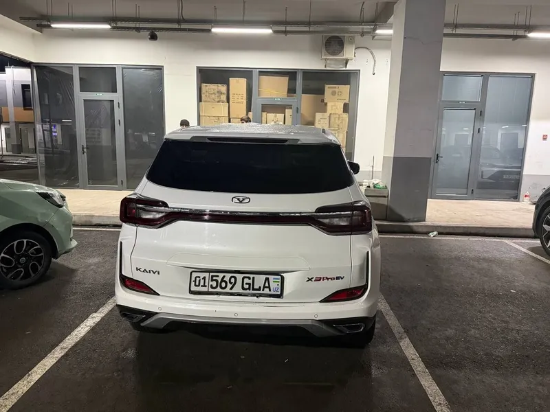 Сухой аренда элекртромобилей — фото 4