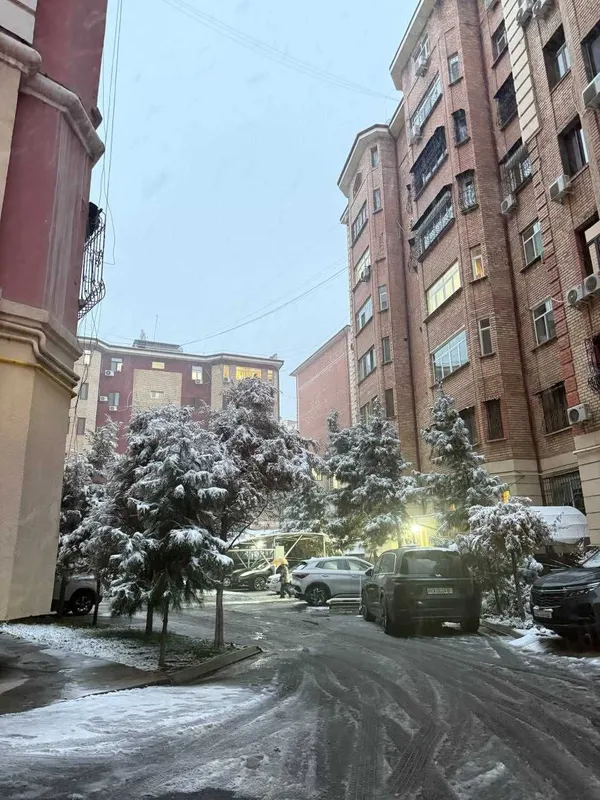 "ВЫКУП ЦЕНА‼️ Новостройка 6ком 273м2 Чехова Кафе Bon метро Ойбек ‼️ — фото 2