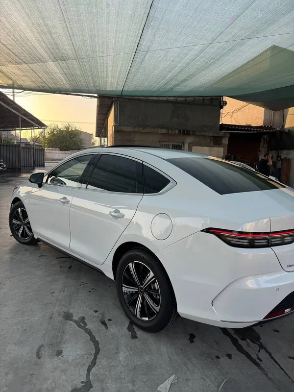 Byd Chazor gibrid 6 Byd Chazor gibrid 6