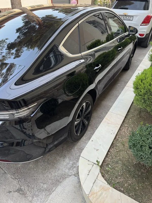 byd Chazor gibrit 4 byd Chazor gibrit 4