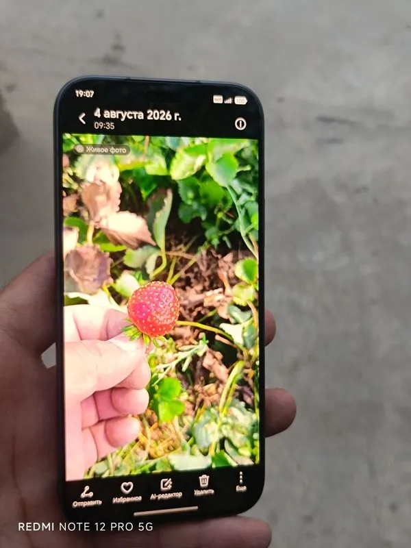 Xonor 600 lite 5G yengi 1 Xonor 600 lite 5G yengi 1