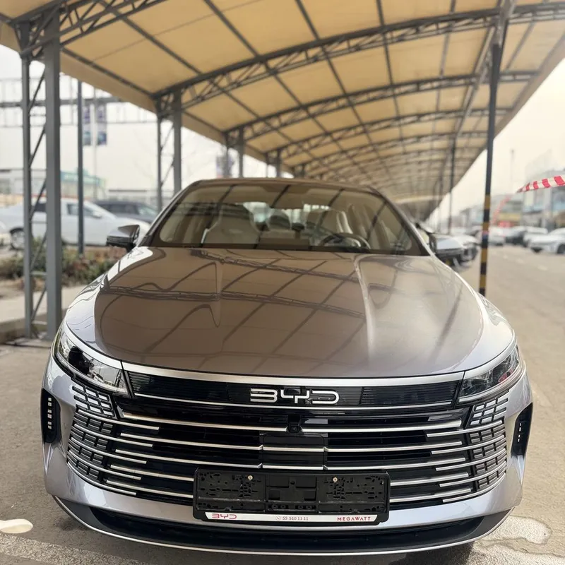 BYD chazor 2025 .2 pz 2 BYD chazor 2025 .2 pz 2