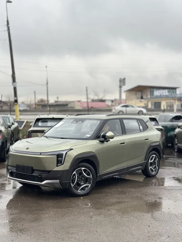DONGFENG Nami 06 471 Ultra
