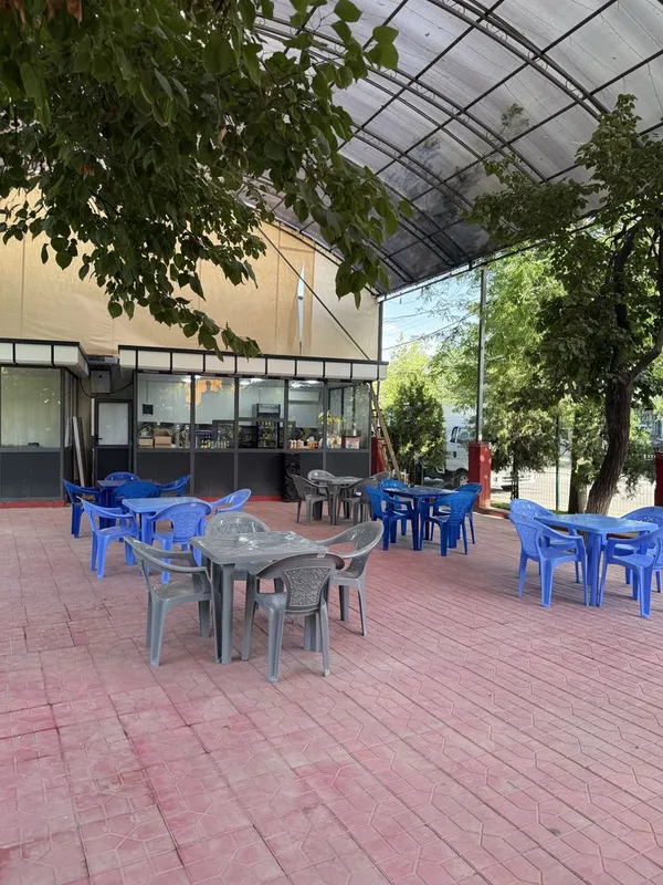 Tayyor biznes muzqaymoq