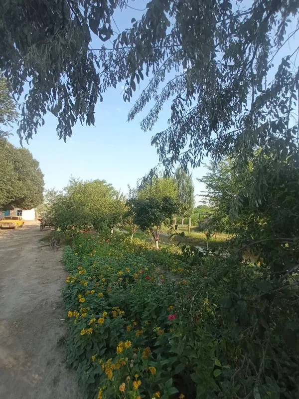 Hamma sharoit bor.Yashashga tayyor hovlili uy 2 Hamma sharoit bor.Yashashga tayyor hovlili uy 2