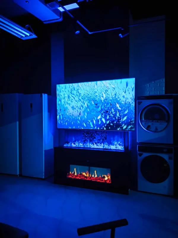 3D камины/камины декоративные/электрические камины + обогрев — фото 3