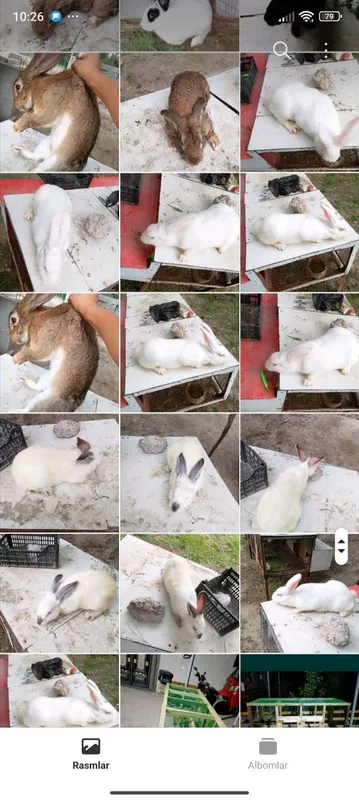 Quyon Chisti flander moda erkaklar bolalaridan ham bor 1
