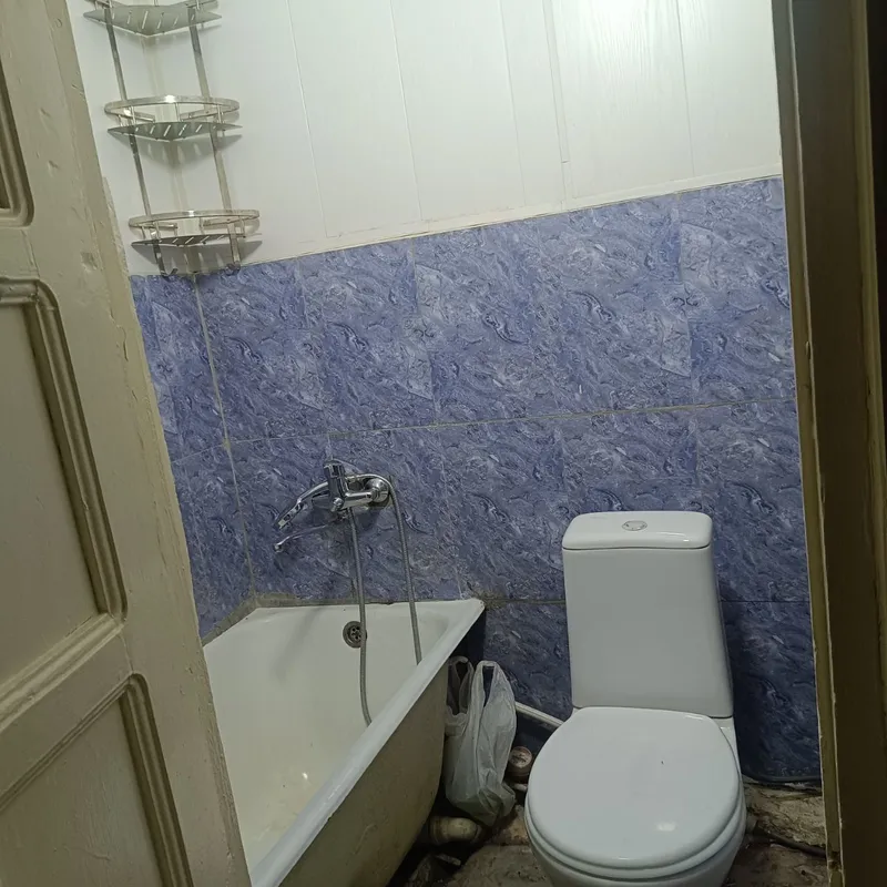 Бодомзар аренда — фото 2