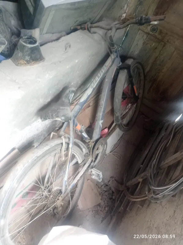 velosiped
