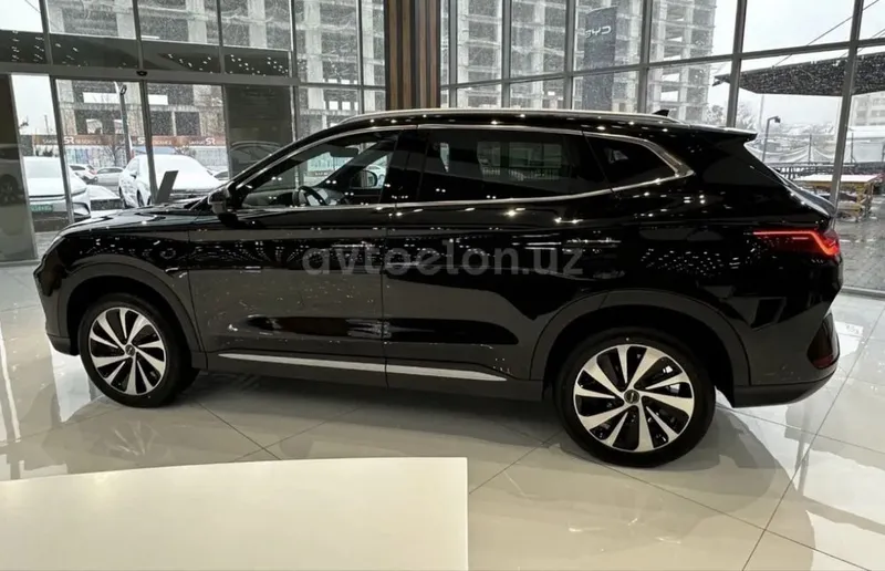Byd Champion elektro full 605km — фото 3