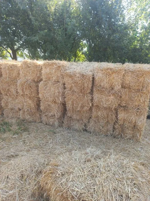 Samon pres sotiladi Samon pres sotiladi