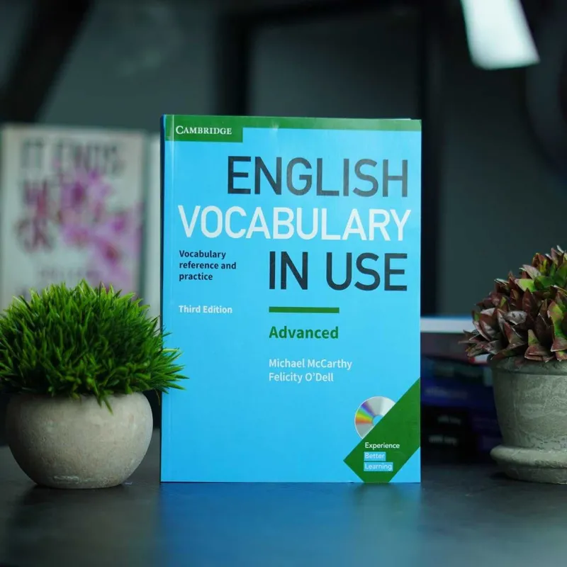 English grammar in use book essential grammar in use 5 English grammar in use book essential grammar in use 5