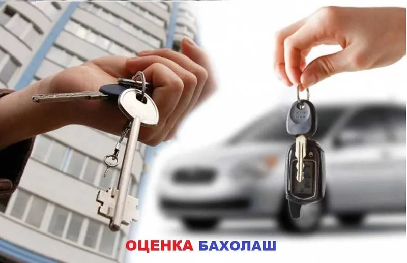 Оценка, Атсенка, ДТП, Baholash, Otsenka, Baxolash, Отценка, Arzon narx — фото 2