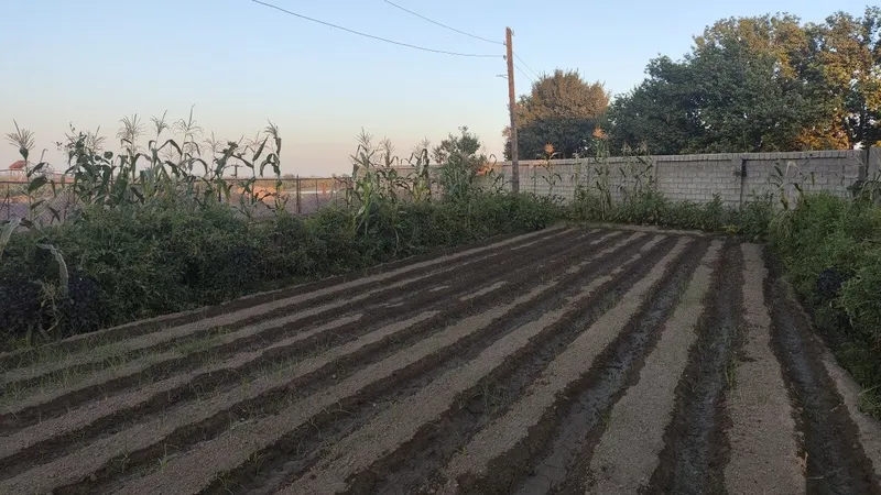 Огромная дача 2га — фото 3