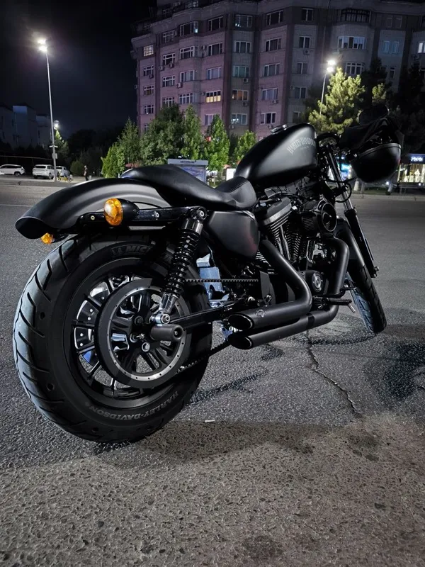 Harley Davidson sportster 883 iron custom 1