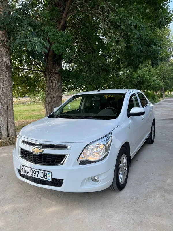 Cobalt 2024 Style 1 Cobalt 2024 Style 1