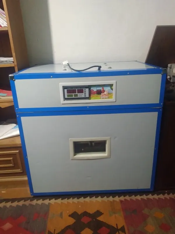umidjonislomov10 1 umidjonislomov10 1