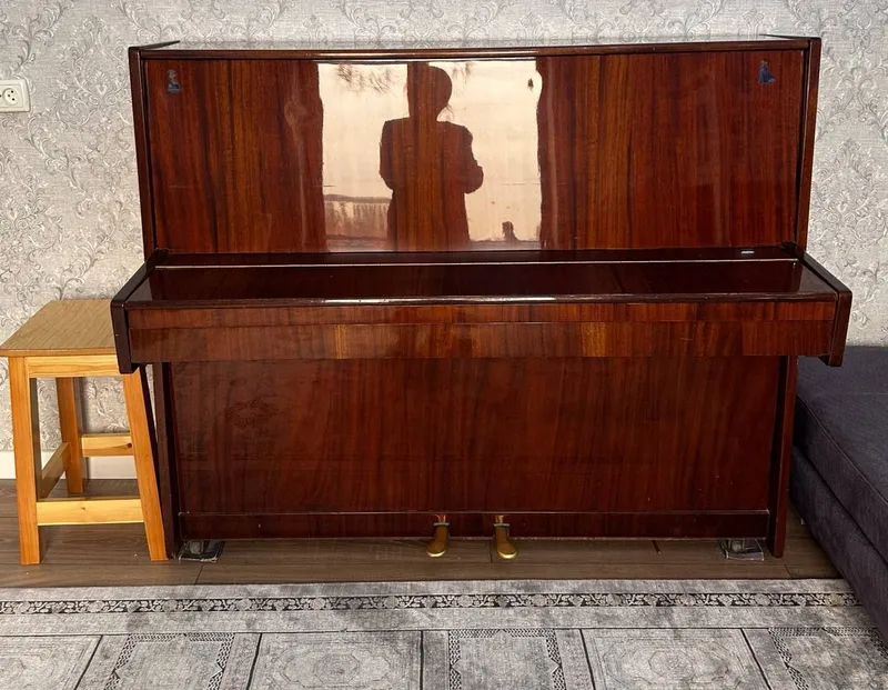 pianino tyumin maskovkin