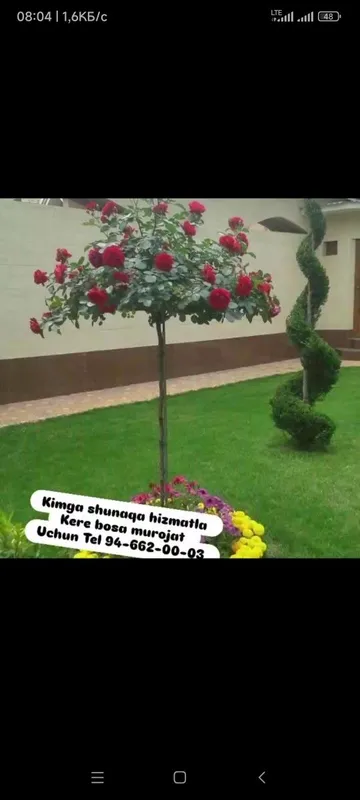 Gazon xizmatlari siz istagan shakilda — фото 3