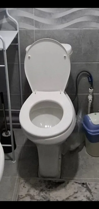 Самаунг унитаз 2