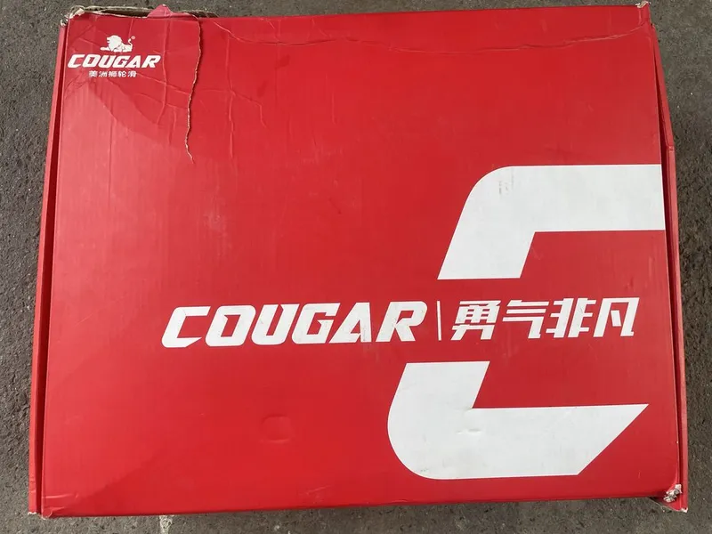 Роликовые коньки Cougar — фото 1