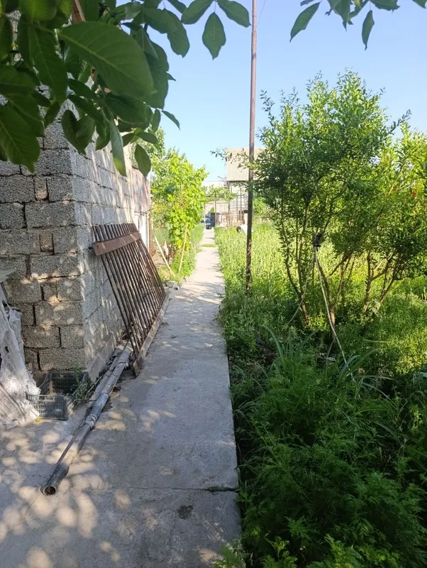 Дача янги Узбекистон — фото 4