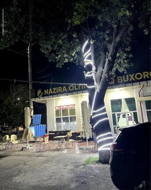 kafe sotiladi 4 sotigdan oshu — фото 1