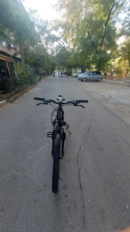 pigion velik 2