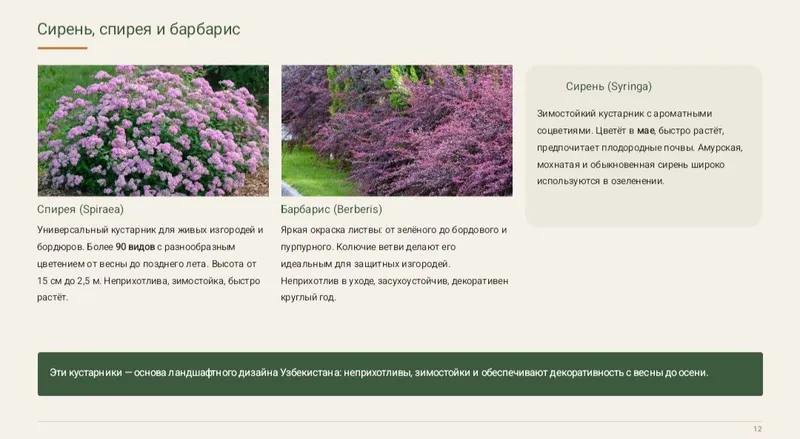 《Презентация》canva, PowerPoint word, pdf сделаю — фото 3 《Презентация》canva, PowerPoint word, pdf сделаю — фото 3