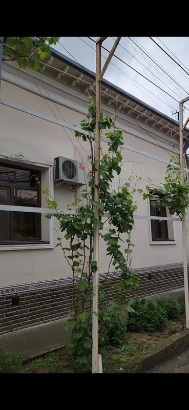 Uy sotiladi 6.8 sotix Uchtepa tumani Beshqayragoch mahallasi