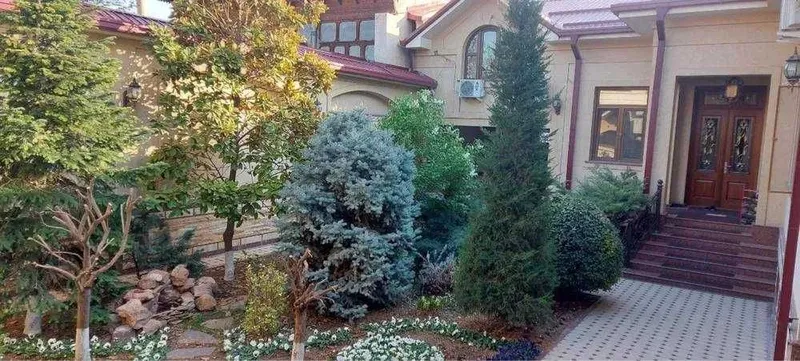 Сдаю Евродом 8-соток ул.Газалкентская бывшая Хусанбаева люксовый Лофт Сдаю Евродом 8-соток ул.Газалкентская бывшая Хусанбаева люксовый Лофт