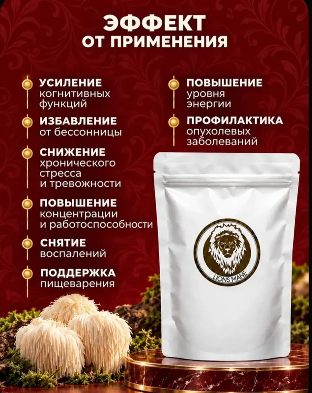 Taroqsimon kirpich qo‘ziqorini — mitseliy 2