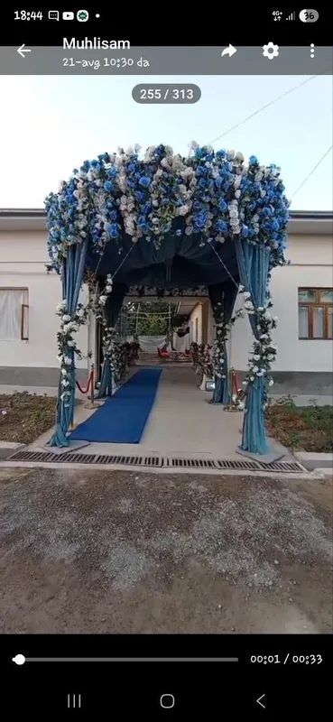 Zangi ota ziyoratgoxidan otganda tinchlikda