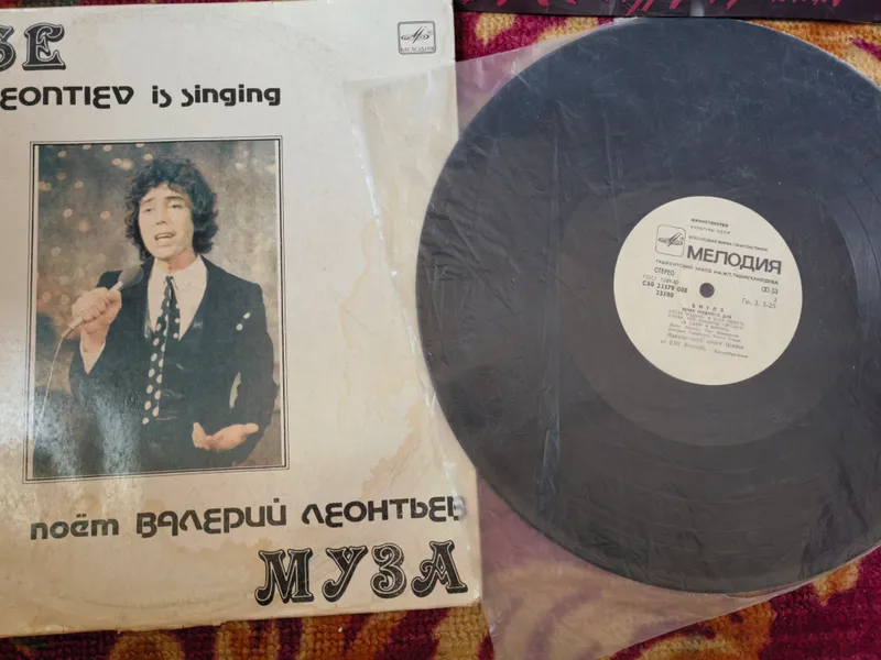 Виниловые пластинки. 6