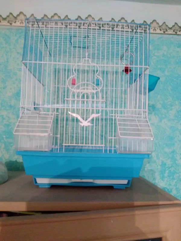 клетка